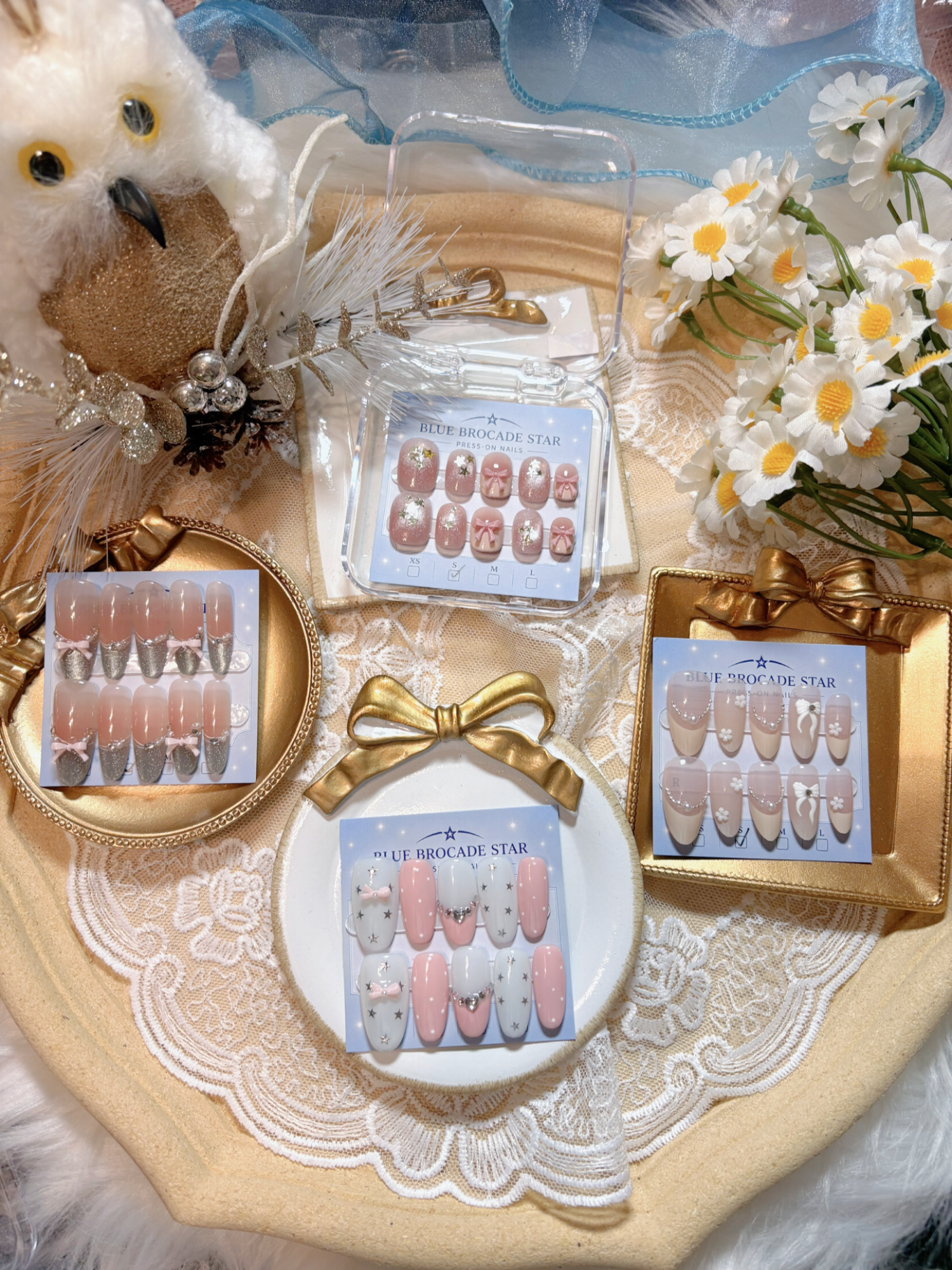 🎀 Coquette Collection🎀